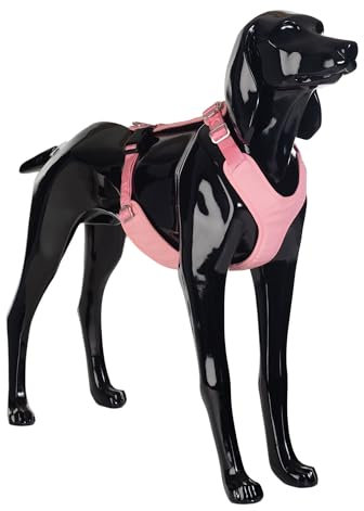 PAIKKA Hundegeschirr mit Sichtbarkeit