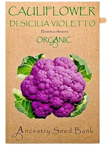 Organic Cauliflower ❁ Di Sicilia Violetto ❁ 50 Seeds Heirloom - Non GMO