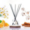 PRISTINE Ivory Coast Clean Cotton Scented/Inspired by Hyatt Reed Diffuser for Home-Clean Blend of Chamomile, Musk Reed Diffuser Set, Oil & Reed Diffuser Sticks | Home & Office Decor | Fragrance Gift