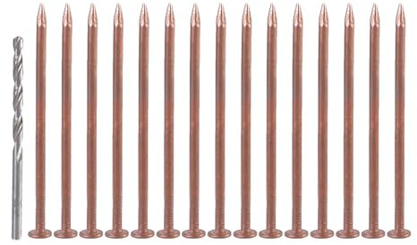 15Pcs Coppers Nails Tree Stump Killers Stump Removal Spikes with 1 Drill Bit Nails for Slating Roofing Easy to Use