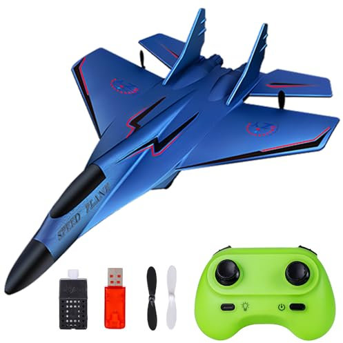 WDKXCN Avion radiocommandé 2 CH, 2,4 GHz, avion en polystyrène avec lumière LED, avion télécommandé avec télécommande et charge USB, avion radiocommandé pour adultes