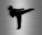 Aufkleber Sticker Auto Karate Arts Kampfsport Taekwondo Kung Fu r2