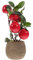 HOMSFOU Simulierte Kumquat Künstlicher Grüner Topf Kunstgrüner Topf Kunstpflanze Für Den Schreibtisch Äpfel Pflanzen Ornament Gefälschte Topfpflanzen Obstpflanze Büro Mode Zellstoffbecken