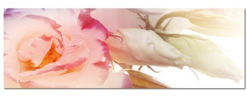 PANORAMA BILD in 150x50cm TOP Bilder! (Flieder orchidee farbend) Wandbild xxl günstig & modern ART PRINT Wandbilder Bilder EXKLUSIVES Fotowandbild auf Leinwand und Keilrahmen Bild Leinwandbild Fotodruck modern Zeitlos Stilvoll wie ein Gemälde Ausführung schöner Kunstdruck auf echter Leinwand als Wandbild mit Rahmen. Preiswerter als Ölbild Gemälde Foto Poster Plakat mit Bilderrahmen.