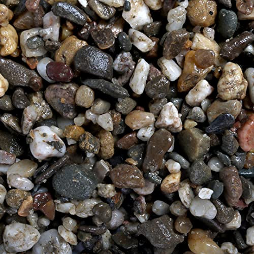 Aqua Della, Kies für Aquarien, Farbe Dark Carse, 3 – 6 mm, 2 kg, dekorativ und funktionell, unterstützt die Verwendung hochwertiger Elemente, vor Gebrauch mit lauwarmem Wasser abspülen