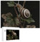 300-teiliges Holz-Puzzle, Schnecke auf Stiel, bedruckt, modernes Premium-Puzzle, Spaß, Indoor-Aktivität, dekorative Malerei für Erwachsene und Familien, 39,9 x 27,9 cm