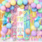 Jobkoo Pastel Birthday Decorations for Girls, Macaron Rainbow Pastel Color Balloons Reusable Happy Birthday Banner Sign Fringe Curtain Backdrop Cake Toppers for Kid Spring Baby Shower Party Decoration
