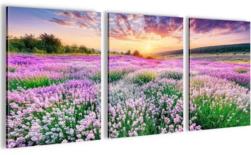 Novart Wandbilder Set Blumen - KOMPLETT AUFHÄNGFERTIG - Wohnzimmer Schlafzimmer Büro Deko - 3 Moderne Bilder Lavendelblüten - N043635a