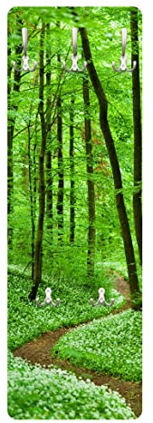 Bilderwelten Garderobe - Romantischer Waldweg - Landhaus Grün, Größe HxB:105cm x 34cm