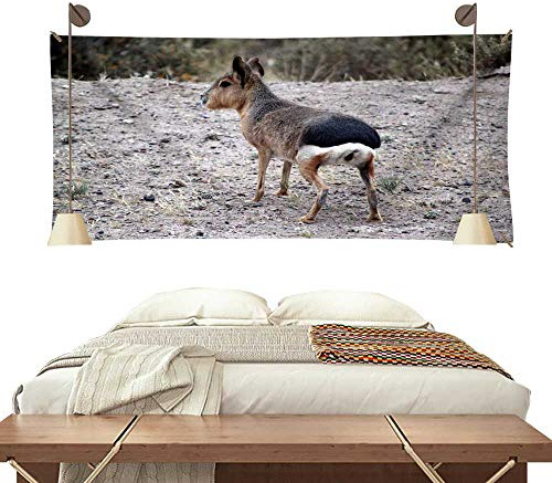 MEAT & DORIA Druckwandler Turbolader Kompatibel mit OPEL ZAFIRA TOURER C P12 9364