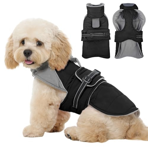 Kuoser Hundemantel Winter Wasserdicht, Warmer Wintermantel Hund, Schwarz XS | Hundemantel für kleine Hunde Winddicht,Hundejacke Winter mit elastischem Hals, Reflektierender Hunde Wintermantel Winterjacke