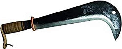 Agef 619