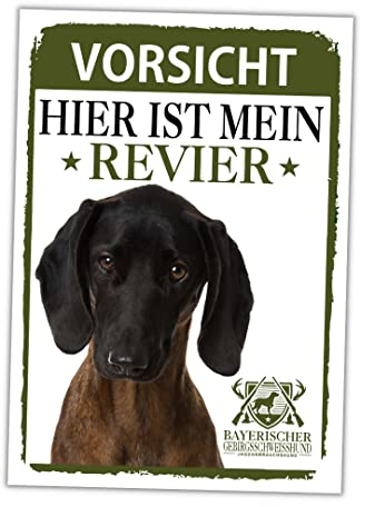 Bayerischer Gebirgsschweißhund Schild Revier Jagd Türschild Hundeschild Warnschild Hund BGS