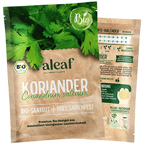 valeaf BIO Kräuter Samen I Premium Kräutersamen zur Kräuter Anzucht I Küchenkräuter für Garten, Balkon I samenfestes Kräuter Saatgut I Pflanzen Samen zum Kräuter Pflanzen (Koriander (BIO))
