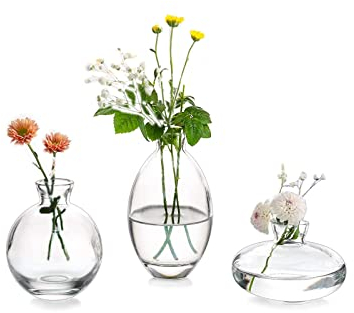 EylKoi Kleine Vasen füR Tischdeko Glas 3 Stück/Satz Transparent Mini Vase Vintage Handmade Hydroponic Glasvase Blumenvase Modern Set Fuer Hochzeit Tischdeko, Zuhause Wohnzimmer Blumen Rose