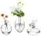 EylKoi Kleine Vasen füR Tischdeko Glas 3 Stück/Satz Transparent Mini Vase Vintage Handmade Hydroponic Glasvase Blumenvase Modern Set Fuer Hochzeit Tischdeko, Zuhause Wohnzimmer Blumen Rose