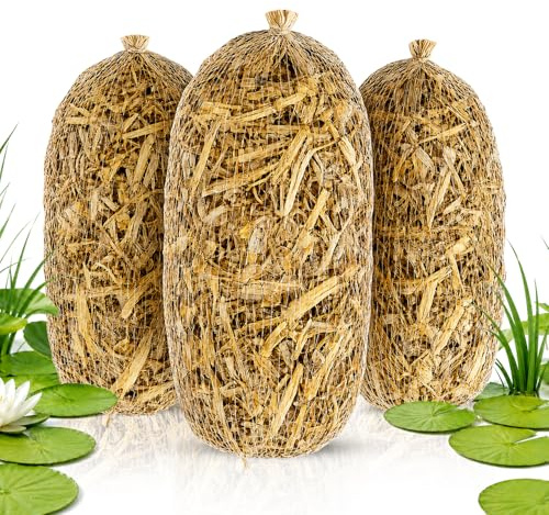 5 Barley Straw Pond Treatment Logs – Natural Algae Control for Clear Pond Water – Easy Use Straw Safe for Fish Ponds, Garden Ponds & Wildlife Habitats