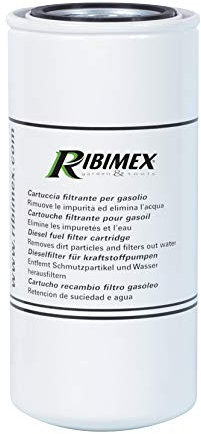 Ribimex PRKG150/F Filtro Gasolio, 30 Micron