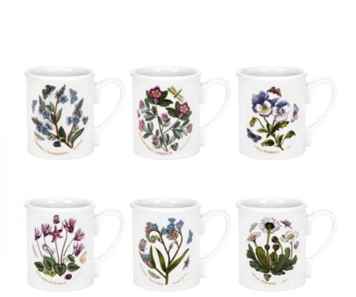 Portmeirion Botanic Garden - 9oz Breakfast Mug - Set of 6,6 Count (Pack of 1)