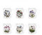 Portmeirion Botanic Garden Lot de 6 tasses à petit-déjeuner 255 ml
