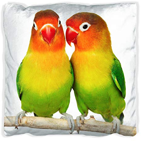 Wallario Dekokissen 40 x 40 cm, Papageien auf dem dünnen AST, beidseitig Bedruckt, Kuschelkissen mit weicher Plüsch-Oberfläche