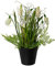 creativ home Kunstblumen, FRÜHLINGSMIX Ostern Frühlingsblumen ca 28cm im Topf. Blüten in weiß, Weiss