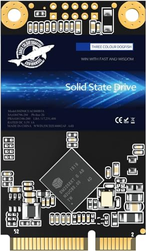 Disque SSD mSATA 16GO Dogfish Interne Disque Dur Haute Performance pour Ordinateur Portable SATA III 6Gb / s Comprend SSD 64GO 120GO 128GO 240GO 256GO 500GO 1TO (16GO, MSATA)