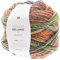Rico Design Creative Melange Aran Wonderball, Farbverlaufswolle Nadelstärke zum Stricken oder Häkeln, Wolle 200g Knäuel (004, 200)