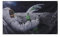 Stormflag Astronaut Bier Flagges (90cmx150cm) Polyester Pongee 90g mit Ösen mit Doppelnadel genäht.