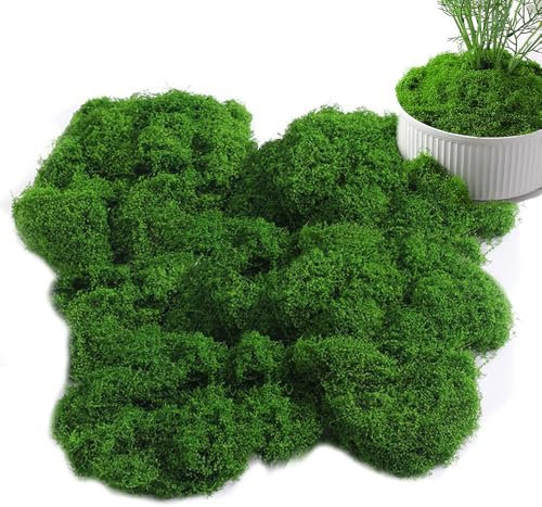XUELIYUN Fake Moss Artificial Moss Faux moss Natural Dark Green for Arts and Crafts for Indoor Plant Pots Christmas and Easter Decorations, Landscaping, Floristry and More (50g)