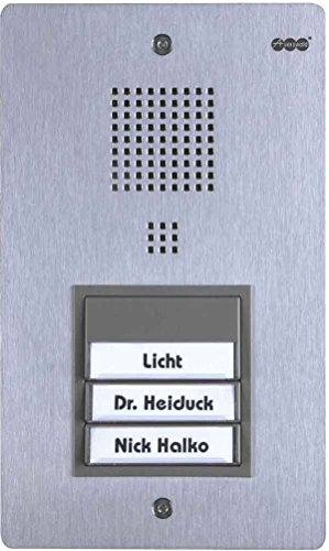 Auerswald TFS-Dialog 303 Türsprechsystem