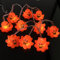 Riaxuebiy Niedliche Tierform LED Krake Lichterketten Batteriebetriebenes Nachtlicht für Indoor Outdoor Halloween Weihnachten Thanksgiving Home Party Kinder Kinder Schlafzimmer Dekoration (Krake)