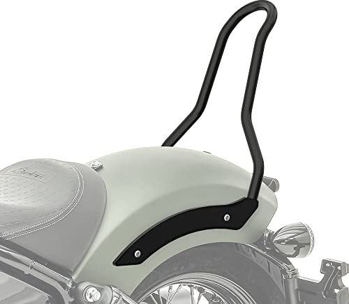 Sissybar kompatibel mit Indian Chief Bobber/Dark Horse 21-25 Solo Rider Craftride MF2