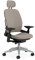 Steelcase Leap Ergonomischer Bürostuhl mit LiveBack Lumbalstütze, flexibler Rückenlehne, anpassbarer Kopfstütze Trüffel, 62 X 68 X 117