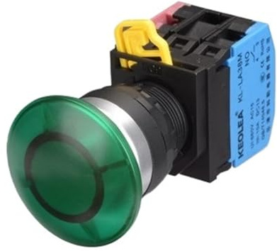 Power button switch with lamp self reset 24 V 220V start inching 22mm round flat button(Orange,RESET_220V)