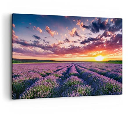 Bilder auf Leinwand 100x70cm Leinwandbild mit Rahmen Lavendel Berge Feld Groß Wanddeko Bild Schlafzimmer Küche Deko Wandbilder Dekoration Wohnzimmer Wall Decor Canvas Wand Kunstdruck Art AA100x70-3816