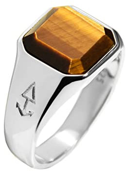 Rock & Steel Herren Ring Silber Siegelring mit Tigerauge Stein aus 925 Sterling Silber (58 (18.5 mm))