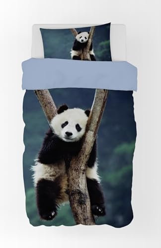 BrandMac Panda Bär Bettwäsche-Set 135x200 80x80 Baumwolle Pandabär Bettbezug Bettzeug