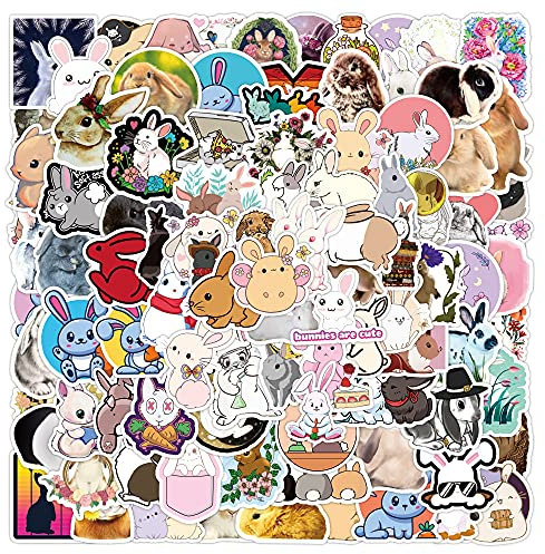 100Pcs Rabbit Stickers Laptop Car Scrapbook Phone Skateboard Computer Cute Rabbit Stickers Vinyl Waterproof Aesthetic Personalised Stickers for Teens Boys Girls Adults Children…