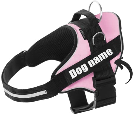 SUPER DOGGY Personalisiertes Hundegeschirr - Reflektierendes und sicheres Hundegeschirr - Enthält 2 Namensschilder, Klein, Mittel und Groß - Qualität und Beständigkeit (Rosa, L 21-32K)