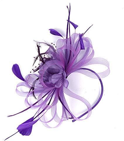 SJTJSPX Fascinator Chapeau Femme Fille Chapeau Bibi Accessoires Cheveux Maille Filet Chapeau Mariage Elegant Voile Bandeau Clip Serre-tête Mariée Chapeaux de Église Tea Party Cocktail Royal Ascot