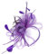 SJTJSPX Fascinator Chapeau Femme Fille Chapeau Bibi Accessoires Cheveux Maille Filet Chapeau Mariage Elegant Voile Bandeau Clip Serre-tête Mariée Chapeaux de Église Tea Party Cocktail Royal Ascot