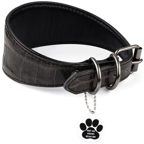FAVPET Luxus Echtleder Windhund Halsband Breit mit QR Code Anhänger, Weiches Lederhalsband Hund Breit Whippet Italienisches Windspiel Saluki Lurcher Spanischer Galgo Greyhound Podenco (Grau, M)