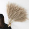 YiYa 12Pcs Pampa Artificielle Brun 113cm Pampa Fleur Sechees Pampas Sechees Decoration Plume Artificielle pour Boho Mariage, Salon, Chambre À Coucher（Brun）