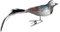 Birds of Glass® Glas-Vogel, Bachstelze mit Naturfeder, Glasschmuck Made in Germany aus eigener Herstellung, deko Vogel mit Clip, Glasvogel, echter Lauschaer Christbaumschmuck, für den Innenbereich