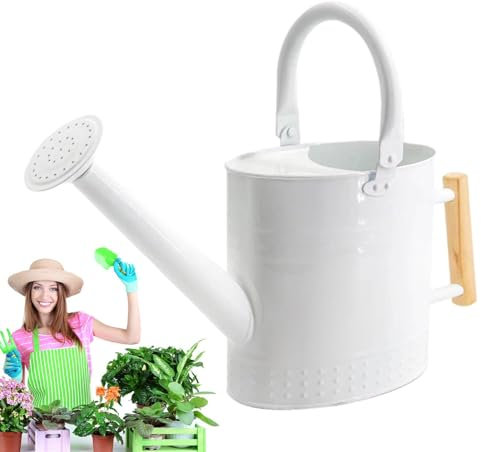 Regadera de flores, Regadera de 1 galón, Regadera para plantas, Regadera de interior, Boquilla de riego de jardín con mango para maceta para suculentas Bonsai