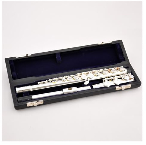 Linkshänder-Flöte, Rückhand-Flöteninstrument, Linkshänder, 16 Löcher, geschlossenes Loch, versilbert