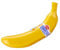 Snips Banane Behalter | Banane Box | Lebensmittelbehälter| bananendose | Farbe Gelb | 25 x 5,5 x 5,5 | Made in Italy