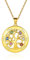 Custom4U Collier Personnalisé Prénoms Argent 925 Collier Médaillon Arbre de Vie Plaqué Or