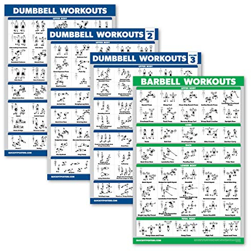 Palace Learning 4 Stück – Hantel-Workout-Poster Band 1, 2 und 3 + Langhantel-Übungstabelle – Set mit 4 Postern (laminiert, 45,7 x 61 cm)